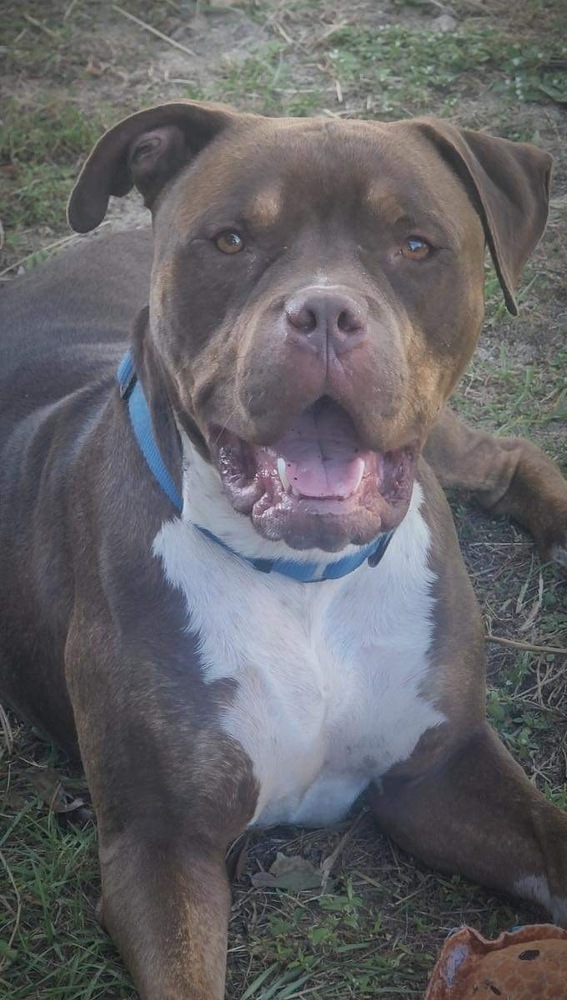Zeus