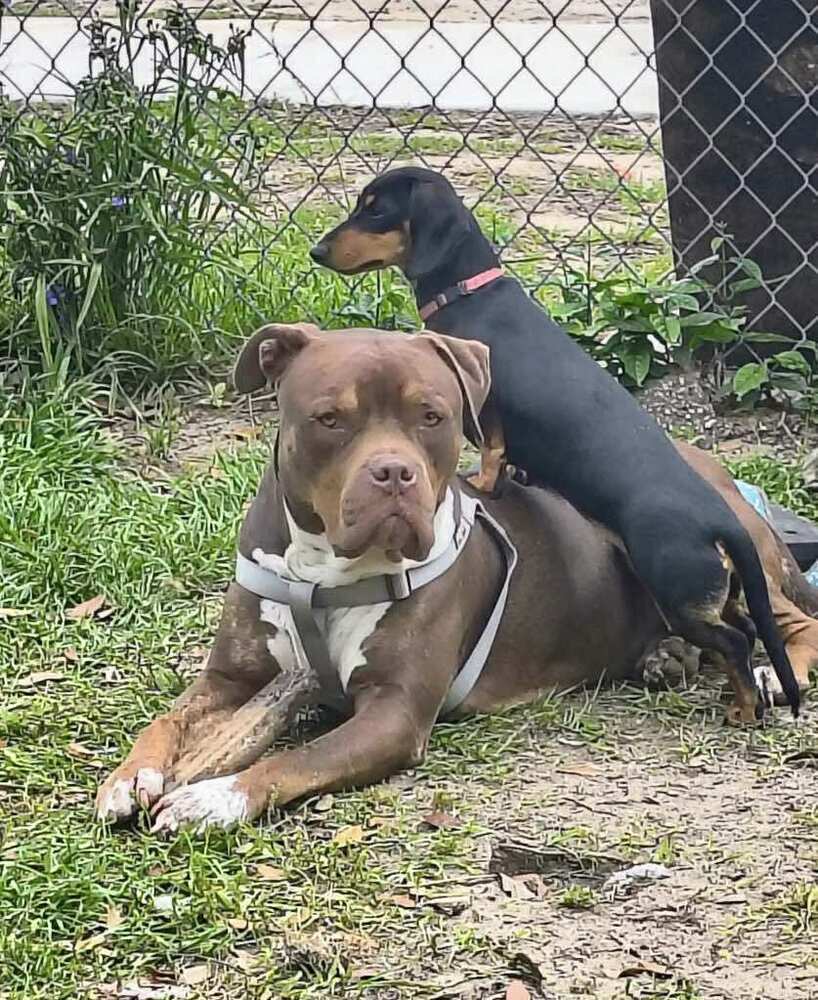 Zeus