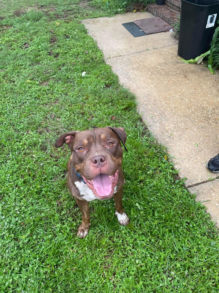 Zeus