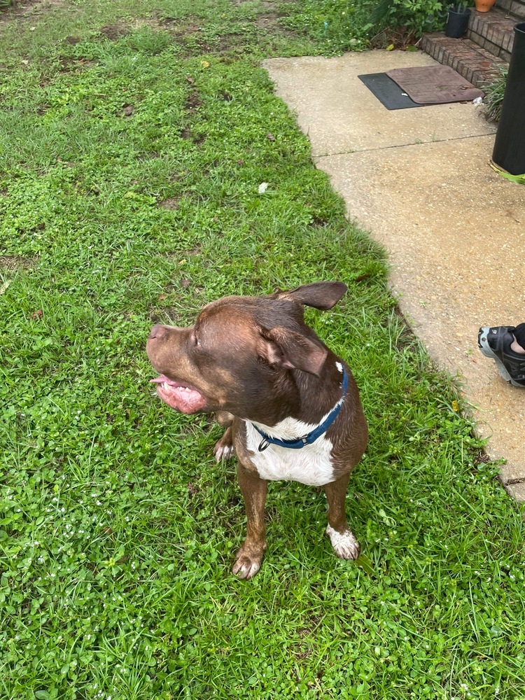Zeus