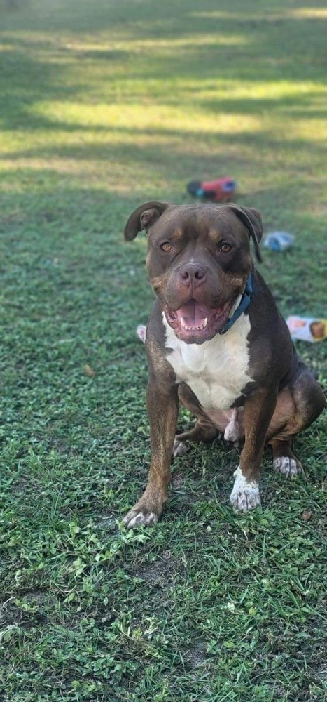 Zeus