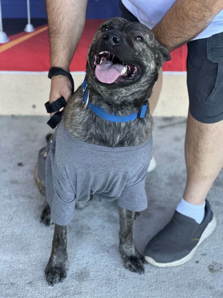 Malik