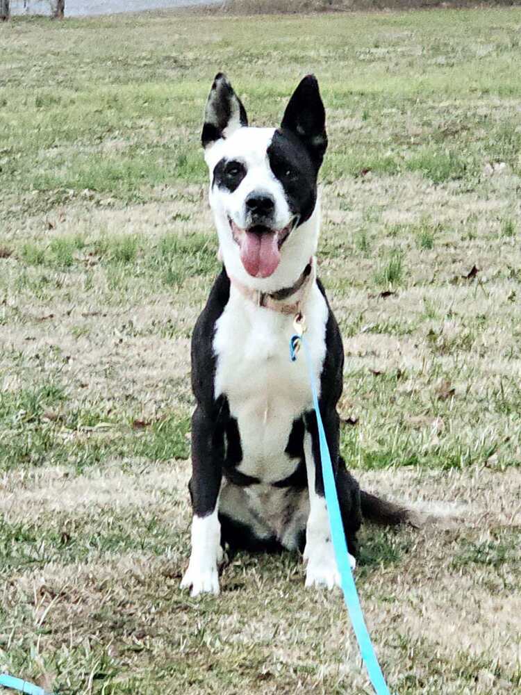 Zoey
