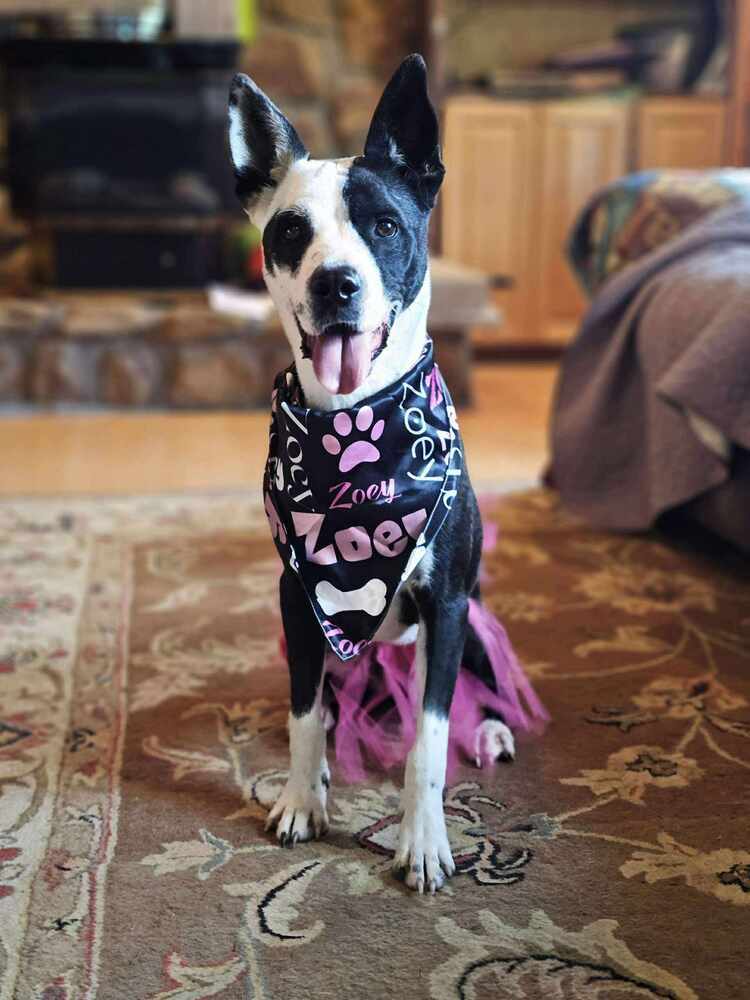 Zoey