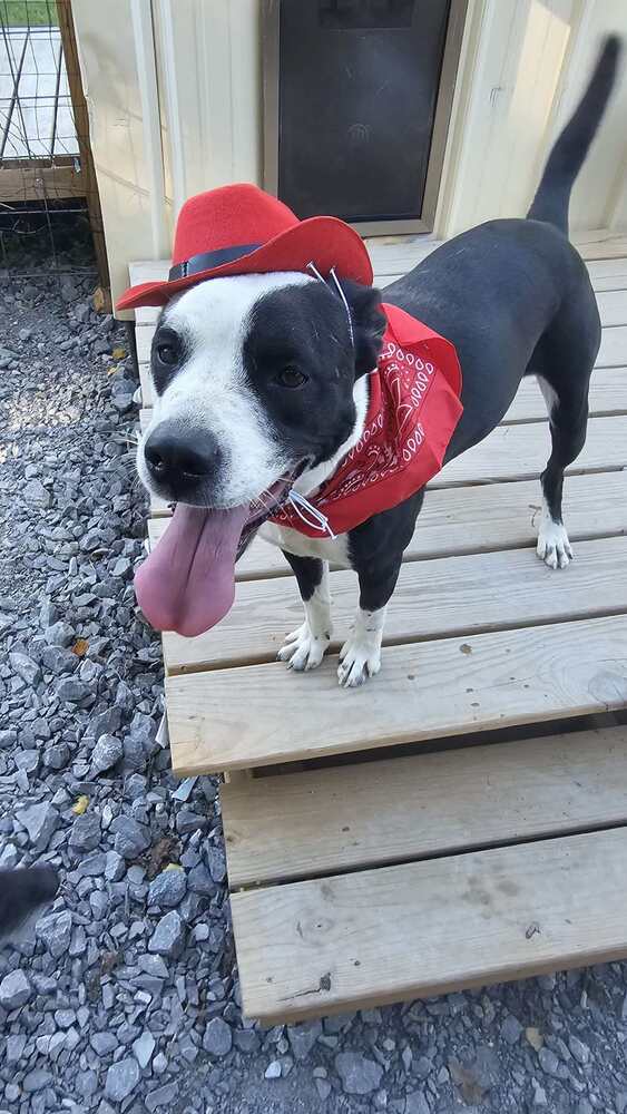 Zoey