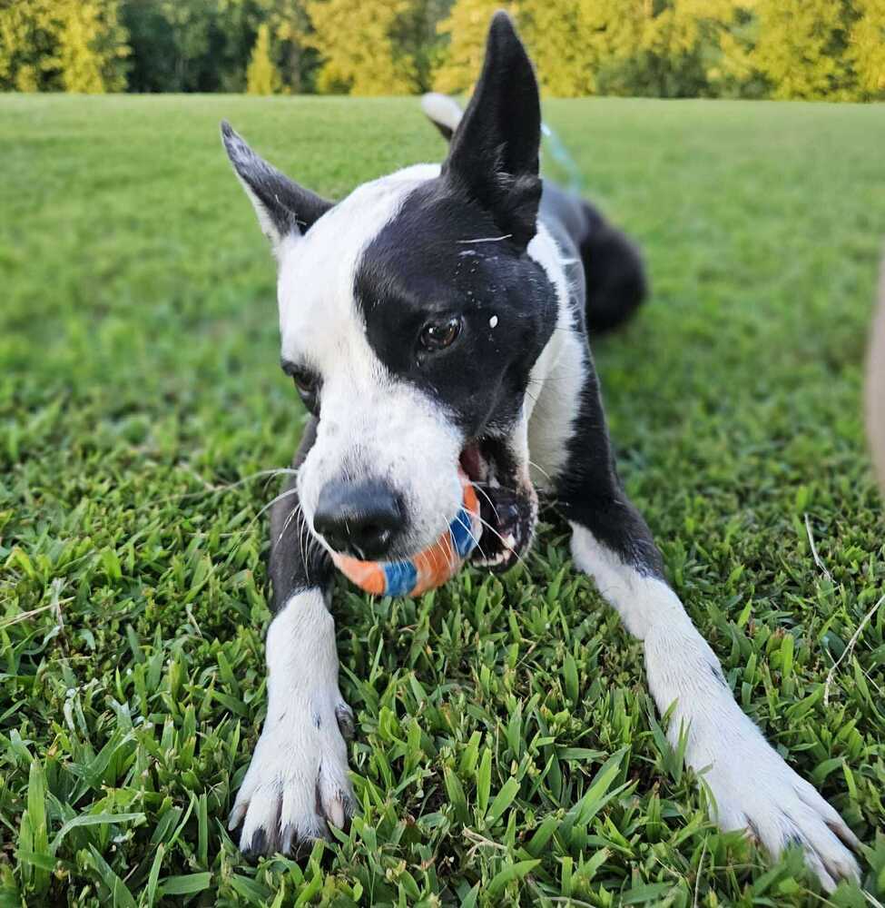 Zoey
