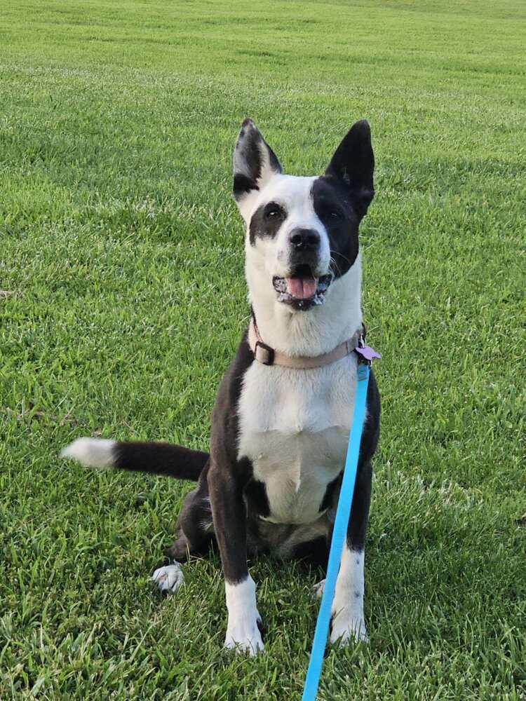Zoey