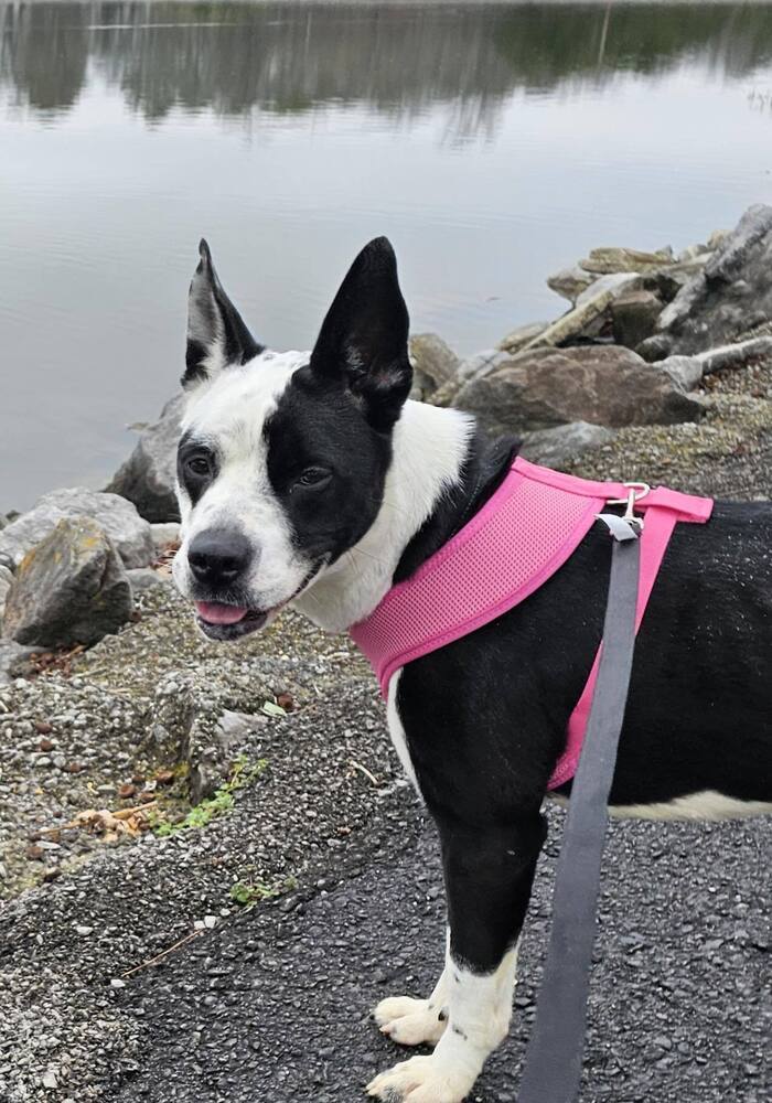 Zoey