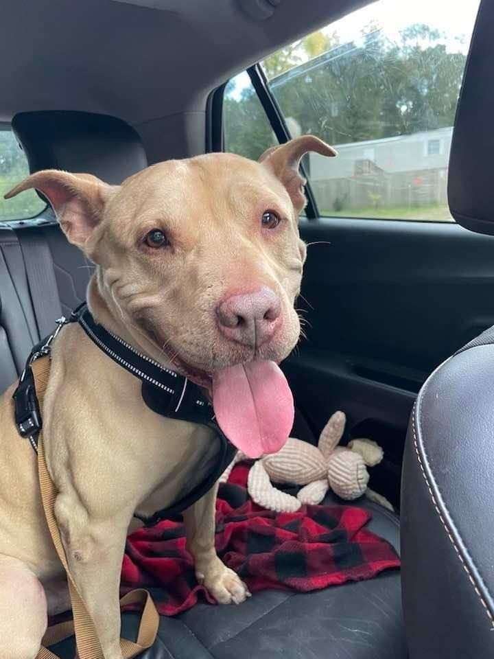 Welcom "TATER"