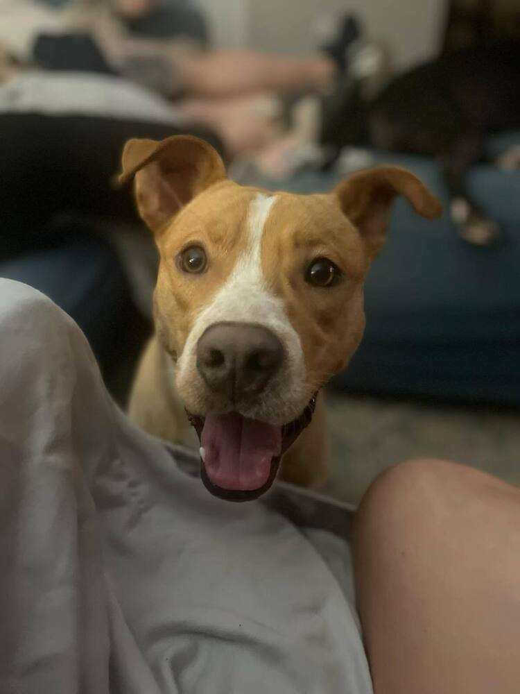 Timmy "Remy"