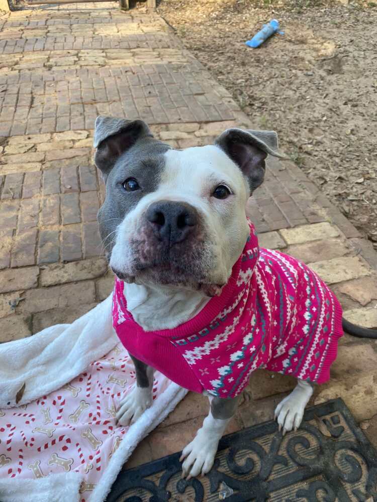 Bonnie