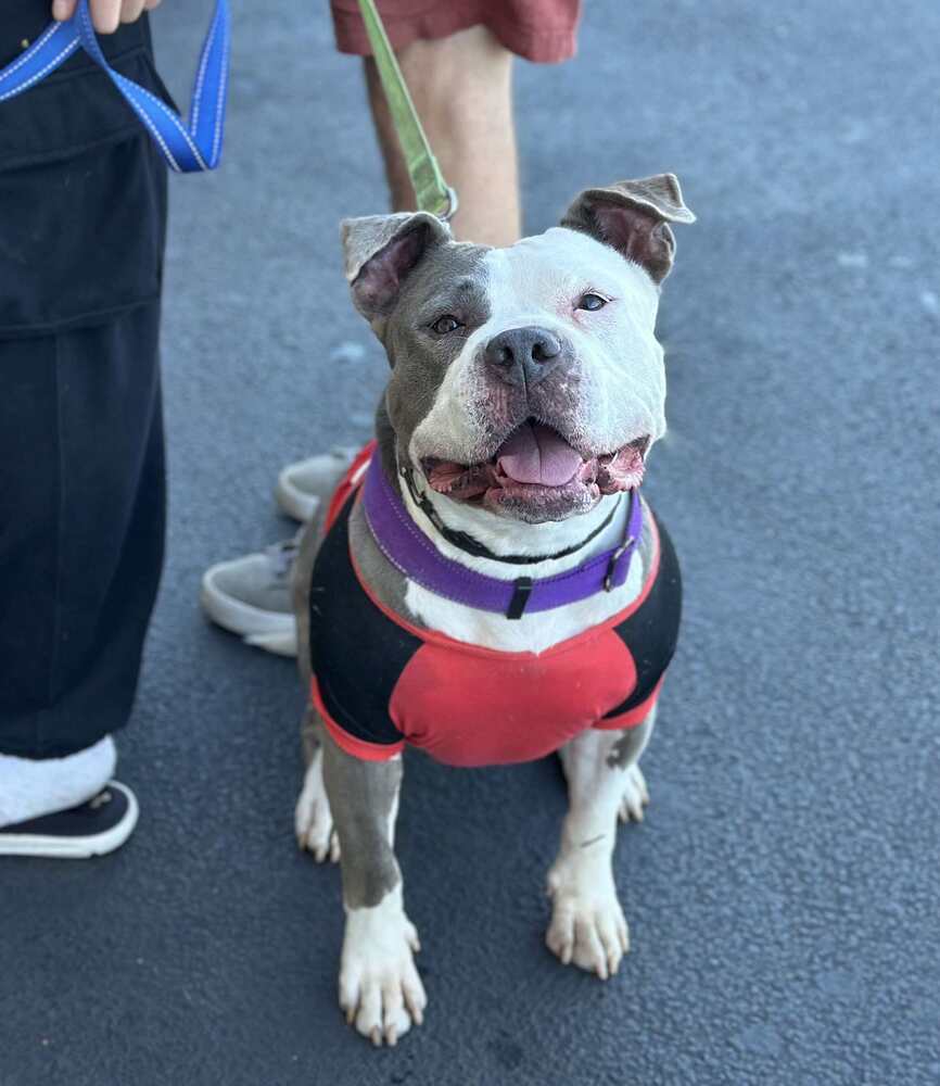 Bonnie