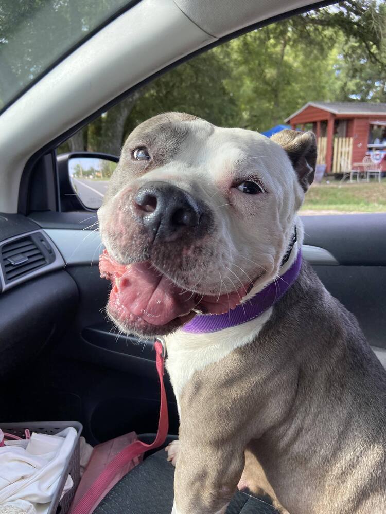 Bonnie