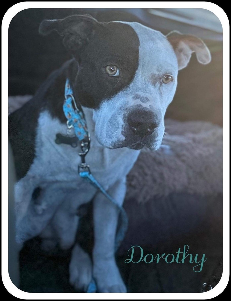 Dorothy