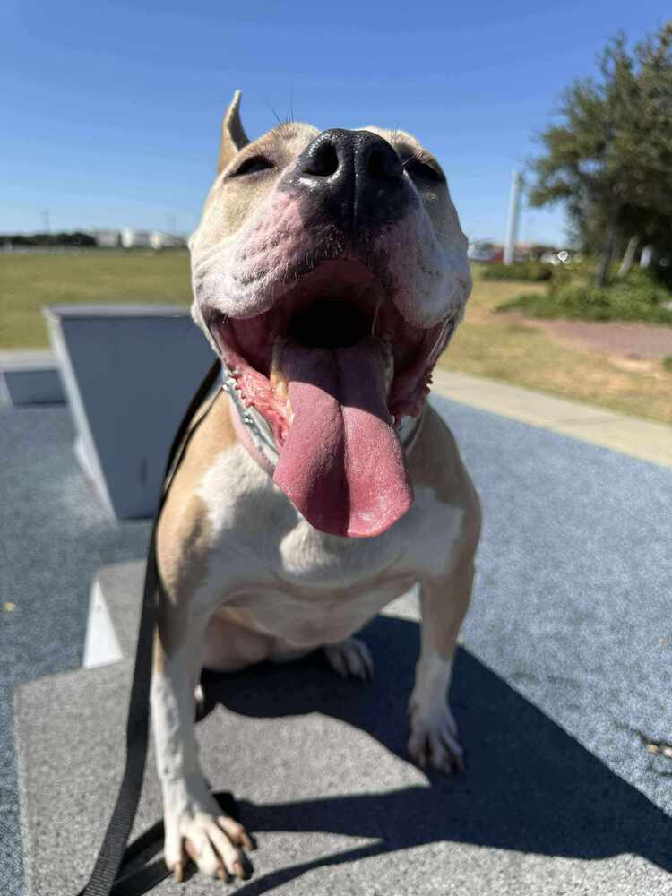 Lydia