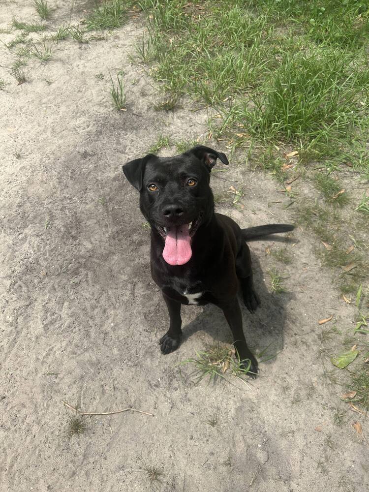 Oscar