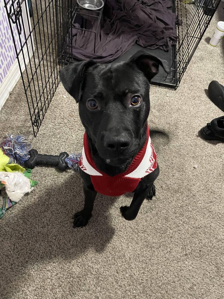 Oscar