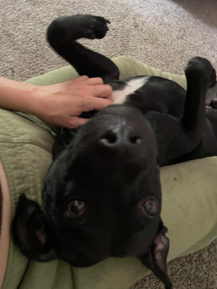 Oscar