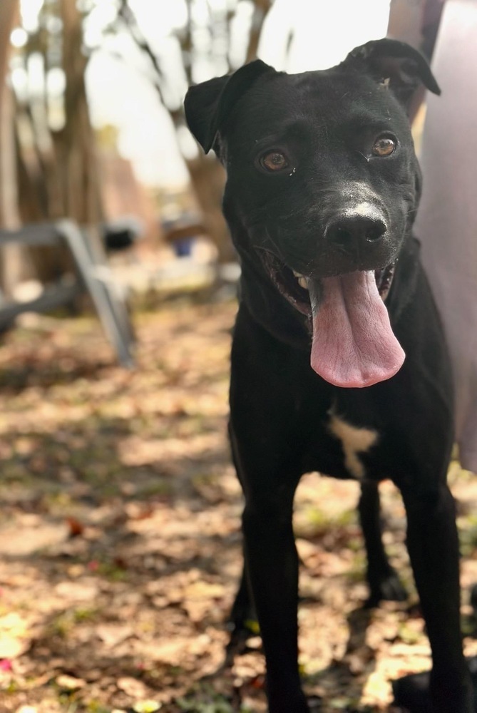 Oscar