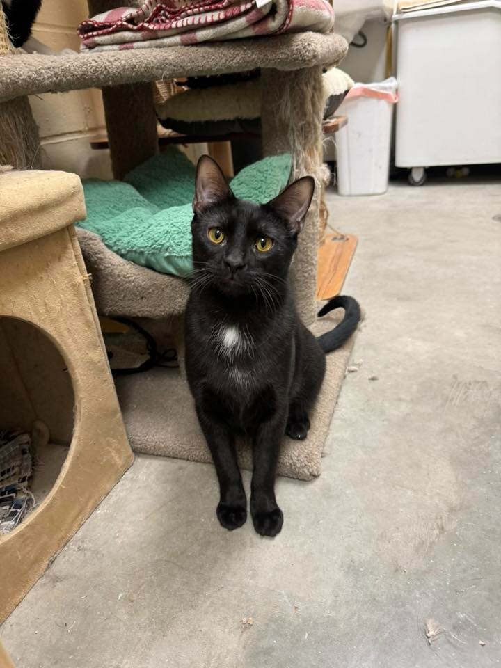 Winnie (Bonded with Gummi)