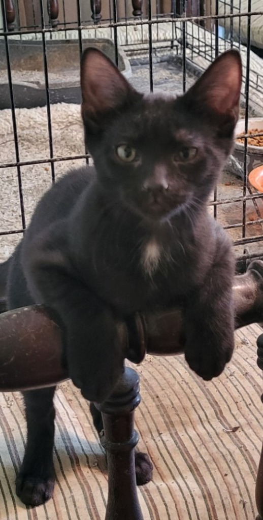 Winnie (Bonded with Gummi)