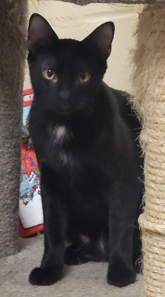 Winnie (Bonded with Gummi)