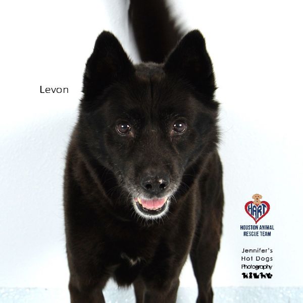 Levon