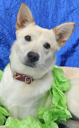Greta