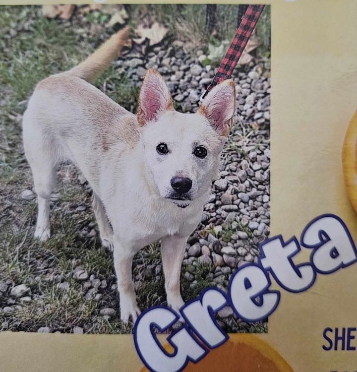 Greta 2
