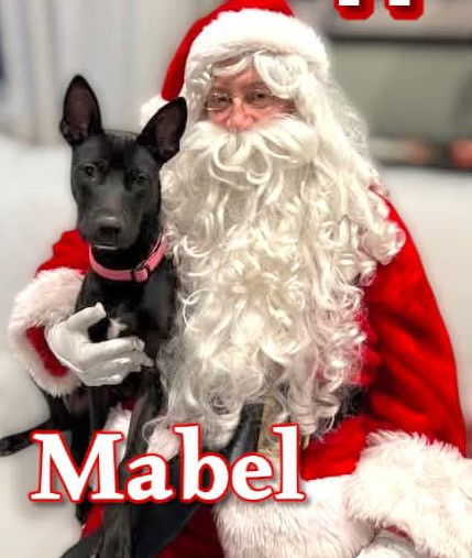 Mabel 3