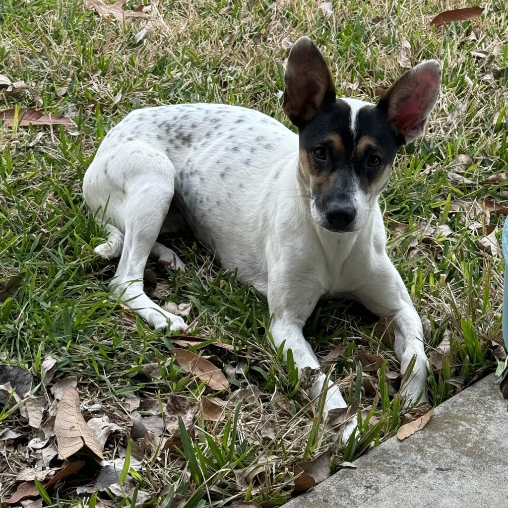 Tina