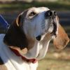 Colby photo 3