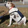 Colby photo 4