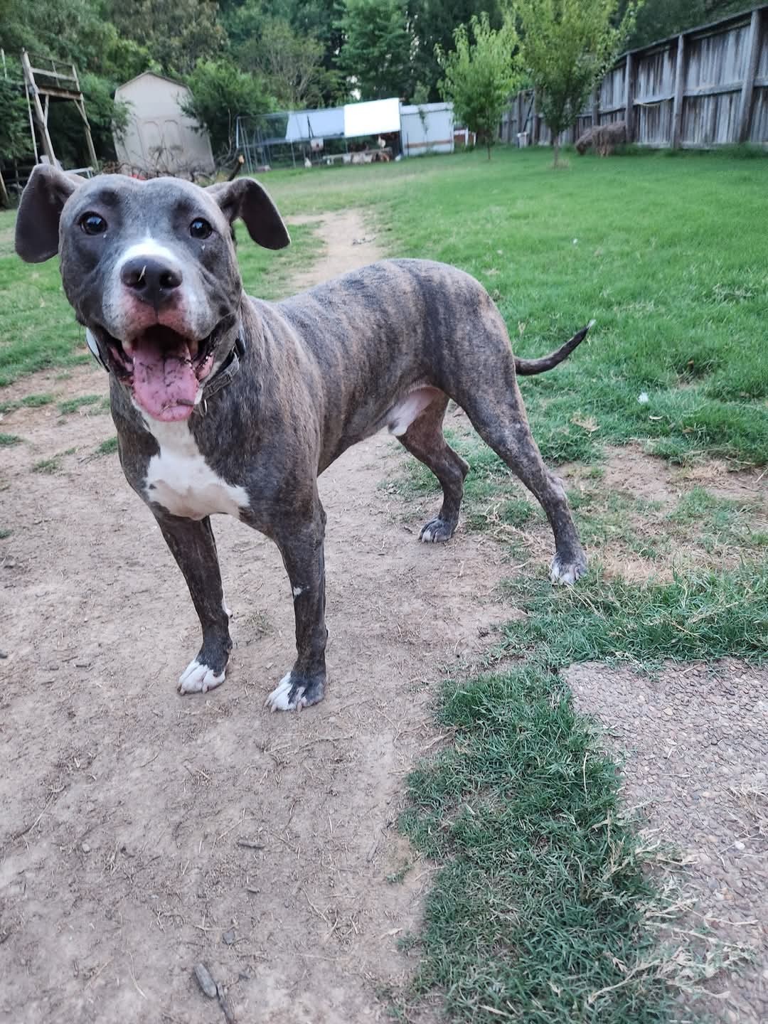 Tyson