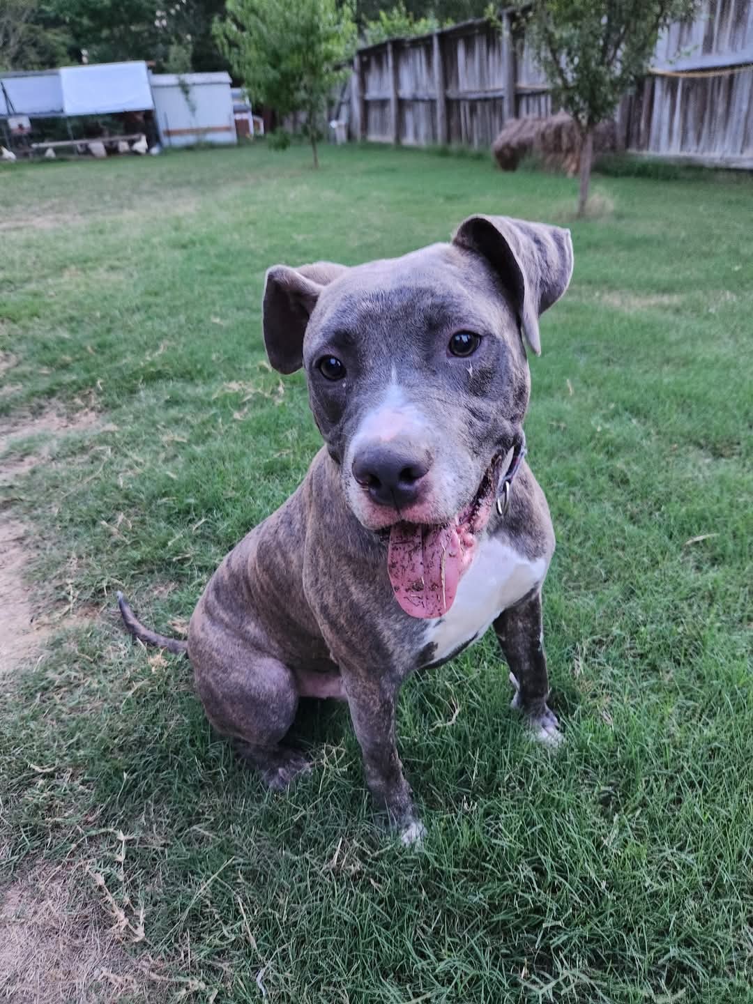 Tyson