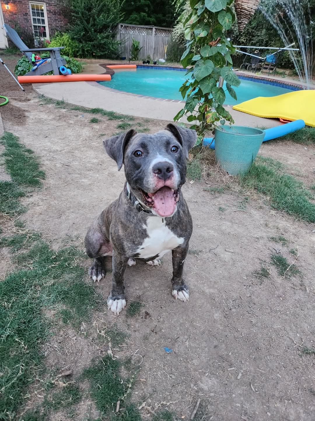 Tyson