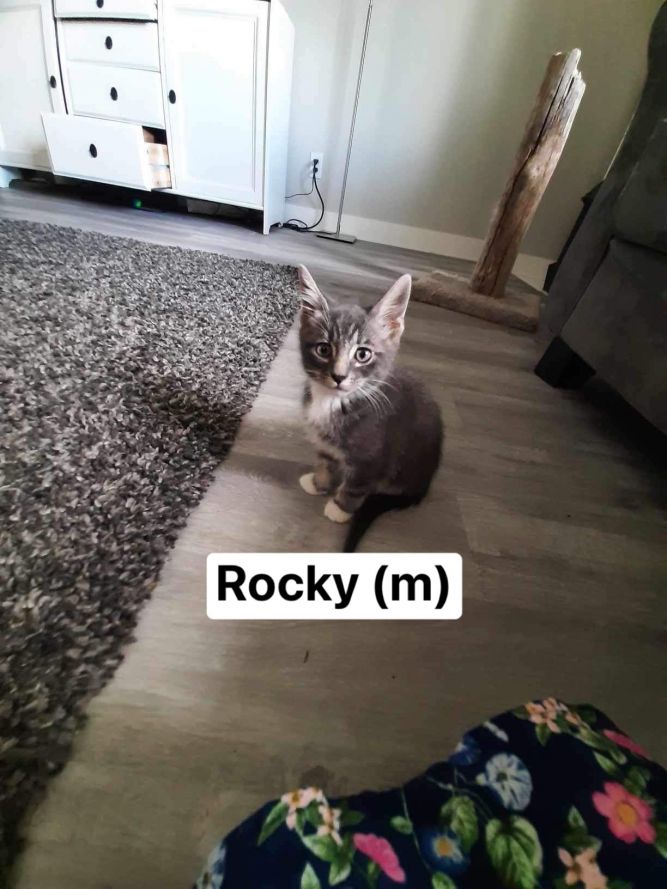 Rocky