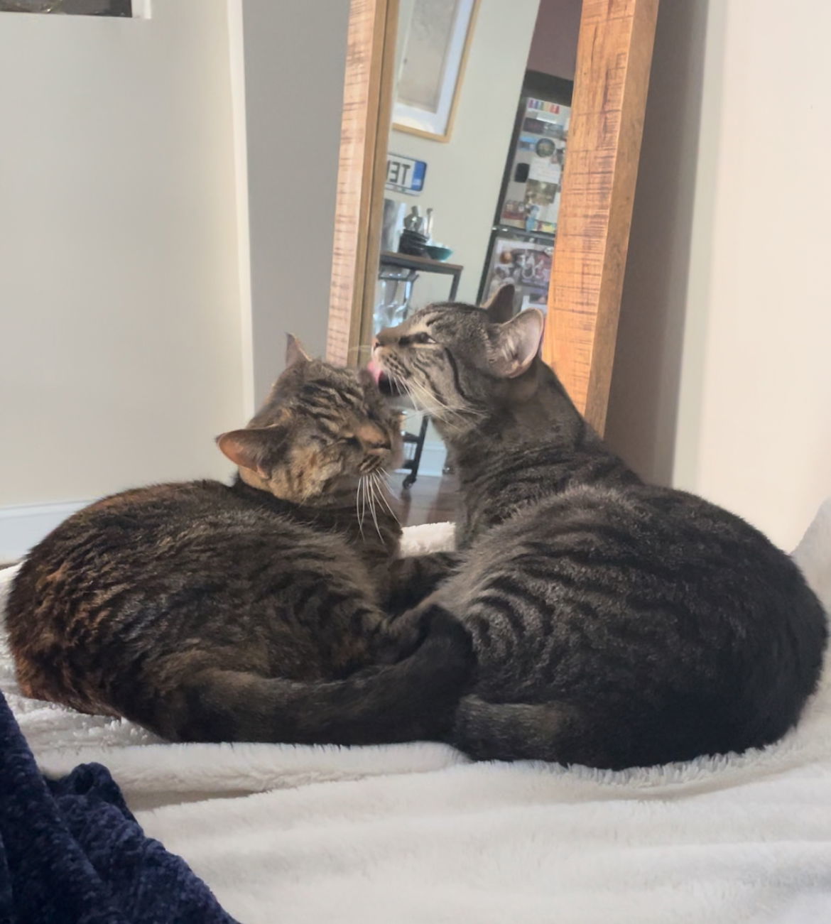 Ricky and Lucy
