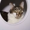 Ziggy photo 5
