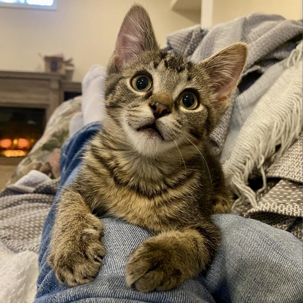 Henry