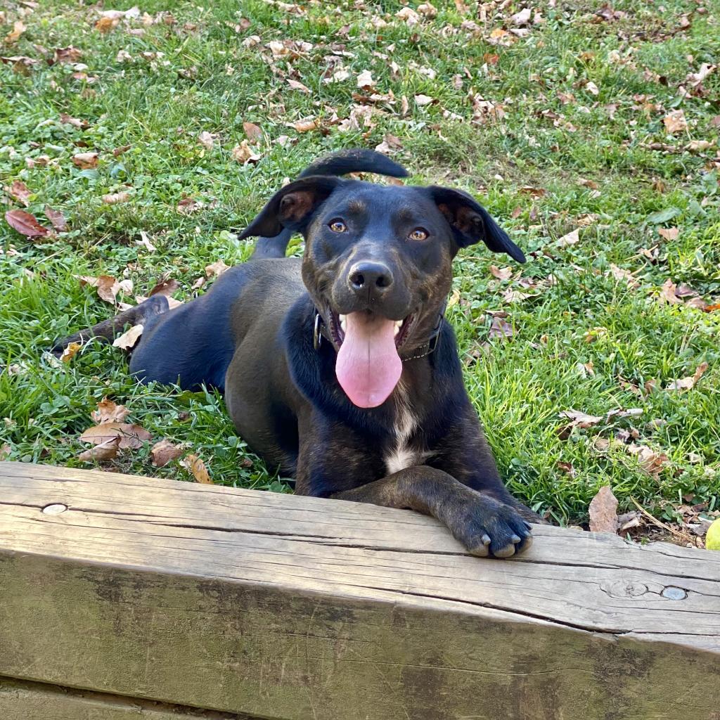 Benny