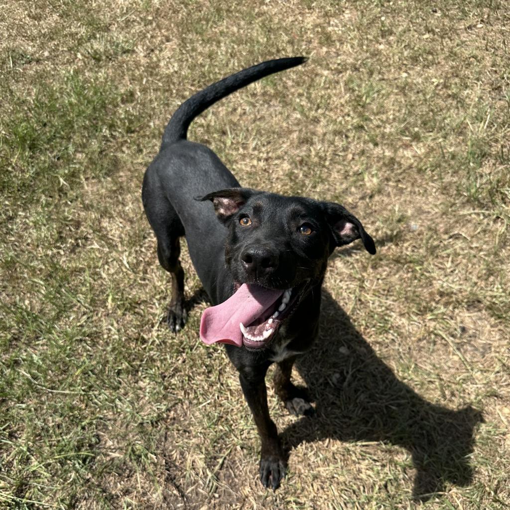 Benny