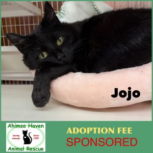 JoJo