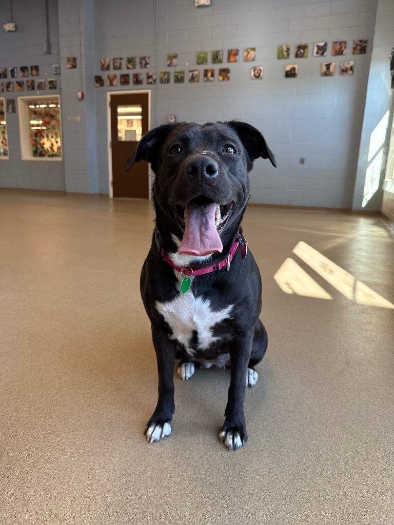 Maggie