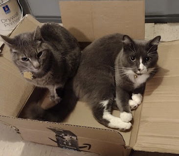 Smokey and Flopper