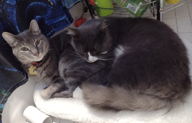 Smokey and Flopper