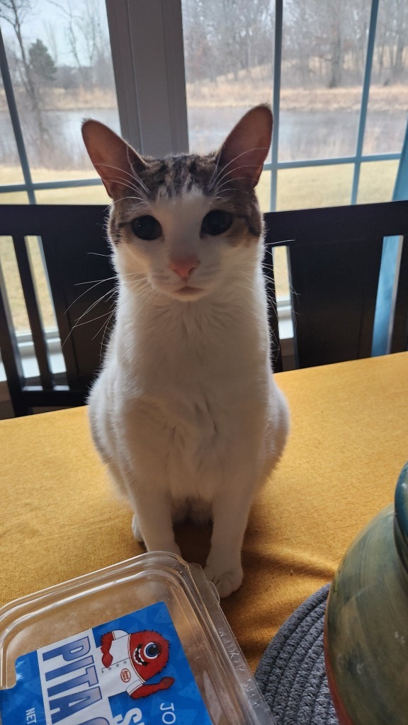Mittens