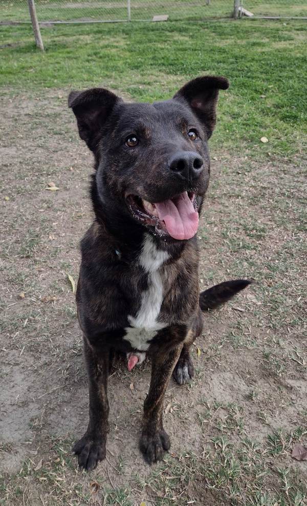 R260957/ Ricky
