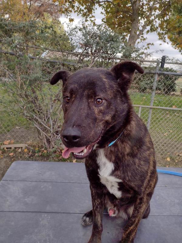 R260957/ Ricky