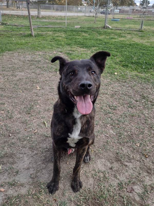 R260957/ Ricky